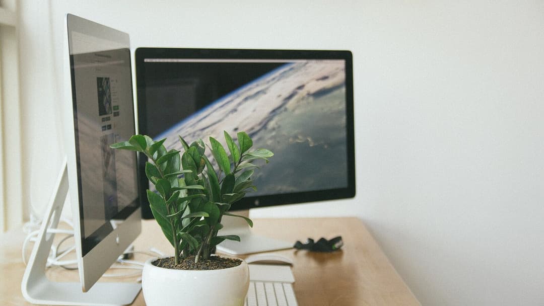 Two computer monitors on a wooden desk, the rear one showing the Earth seen from space, with a small potted plant in front of them and a keyboard at the bottom edge.