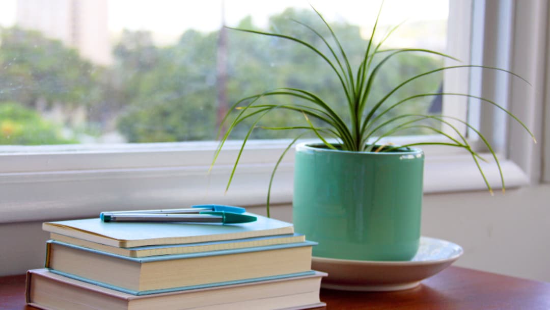 A stack of books topped with two pens beside a small green potted plant on a polished wooden surface, with a bright window and blurred greenery behind.
